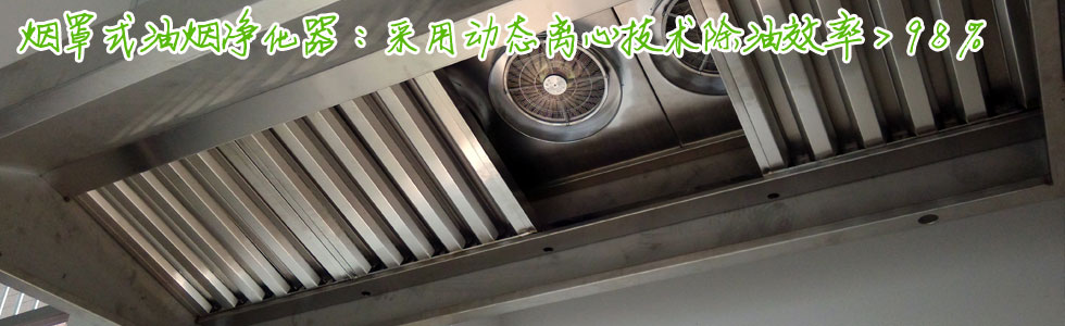 煙罩式油煙凈化器，除油效率>98%，川菜湘菜凈化首選！